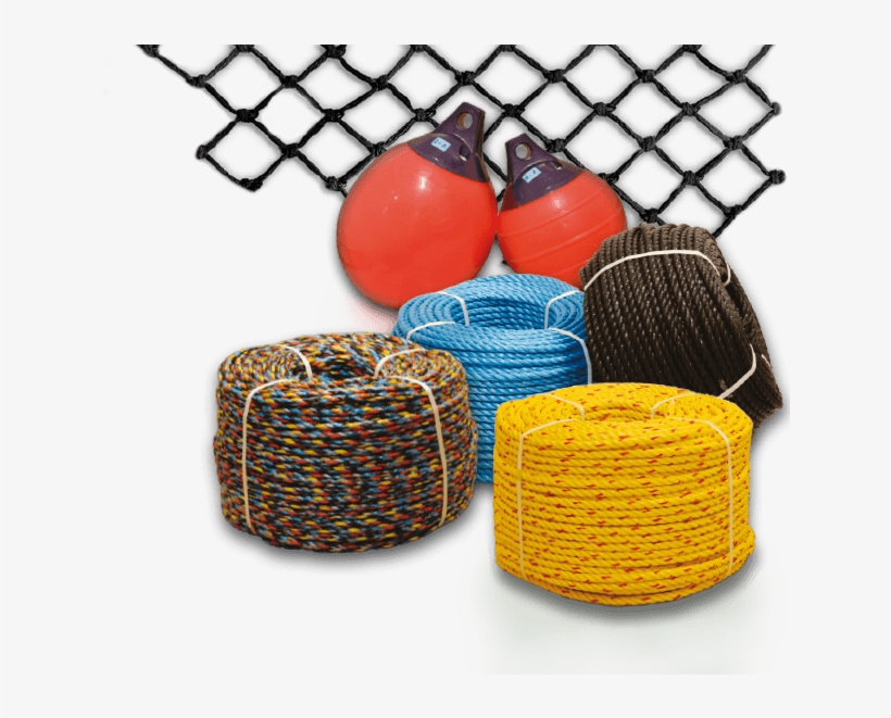 Fishing Marine - 鞭 棄 少女 椿, transparent png download