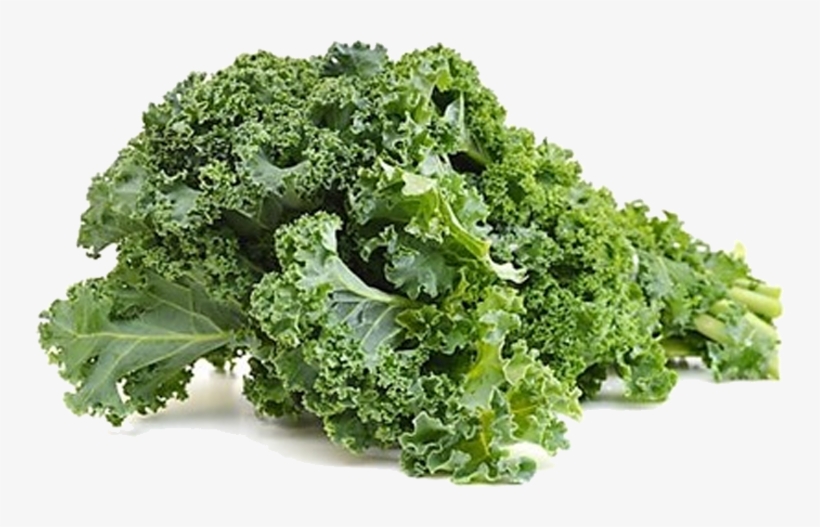 Marketed In Denmark By Bioforce Danmark As - Kale Leaves In Urdu, transparent png download