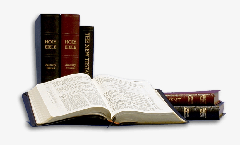 The Recovery Version Of The Bible - Recovery Version Bible, transparent png download