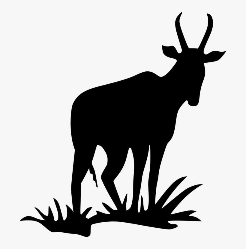 Pronghorn Antelope Deer Silhouette Bovid - Antelope Silhouette Png, transparent png download