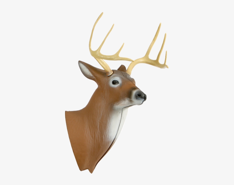 Xl Deer 3d Archery Target Replacement Head - Delta Mckenzie Pinnacle Xlarge Deer Hunting Archery, transparent png download