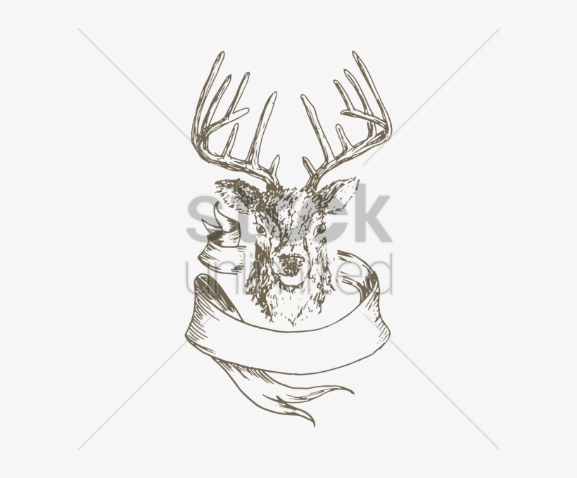 Stag Head Emblem Vector Image - Stag Emblem, transparent png download