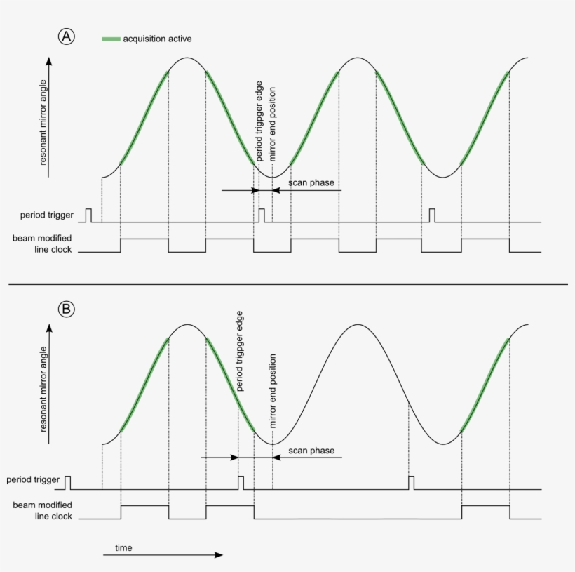 Frame Rate Drops When Adjusting Scan Phase - Diagram, transparent png download