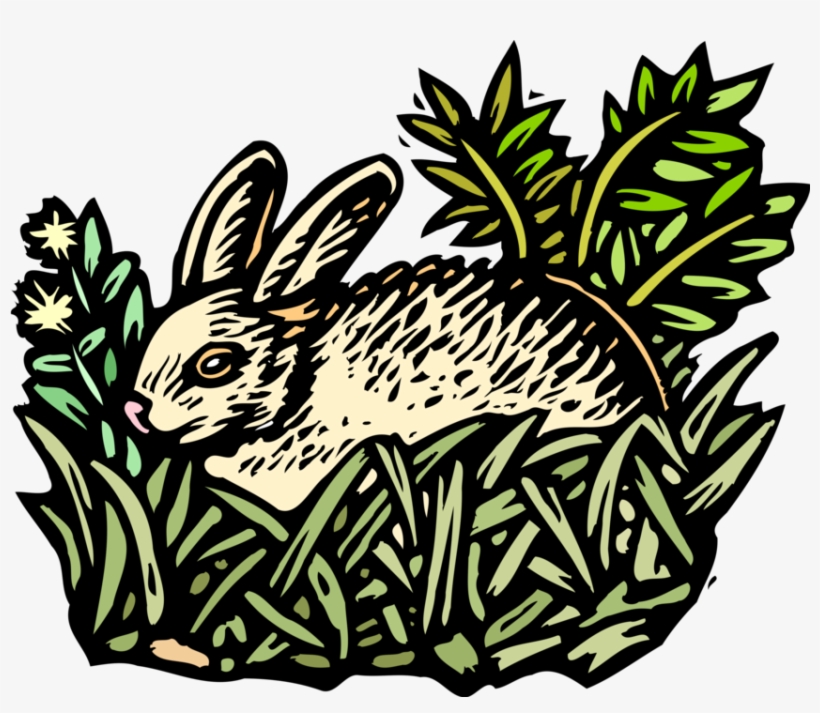 Vector Illustration Of Small Mammal Rabbit Lying In - Organism, transparent png download