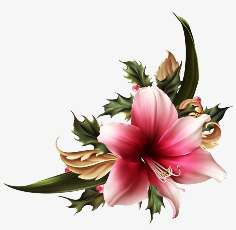 Festive Amarylis - Clip Art, transparent png download
