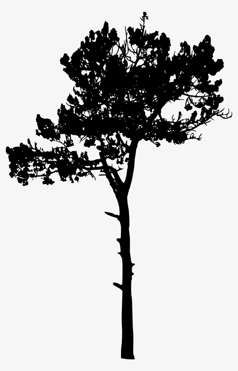 Free Download - Portable Network Graphics, transparent png download