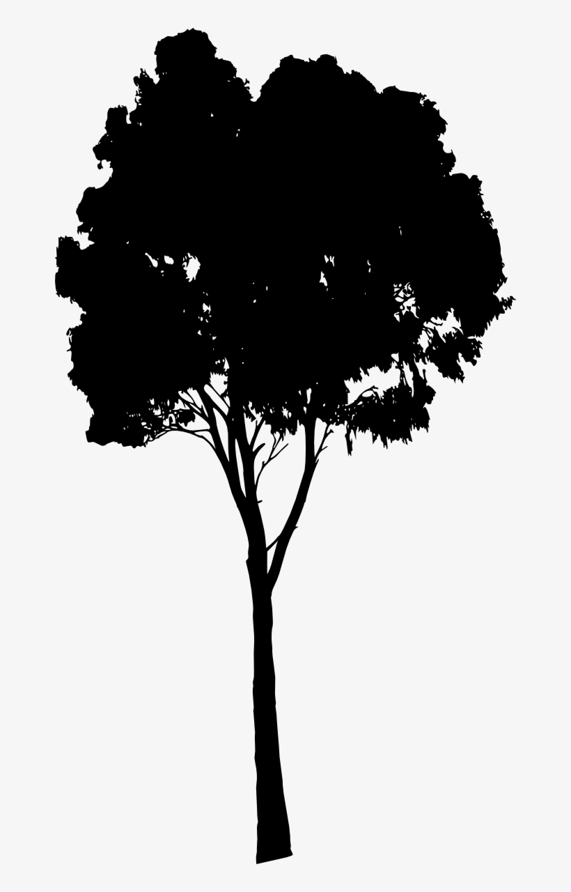 Free Download - Silhouette, transparent png download