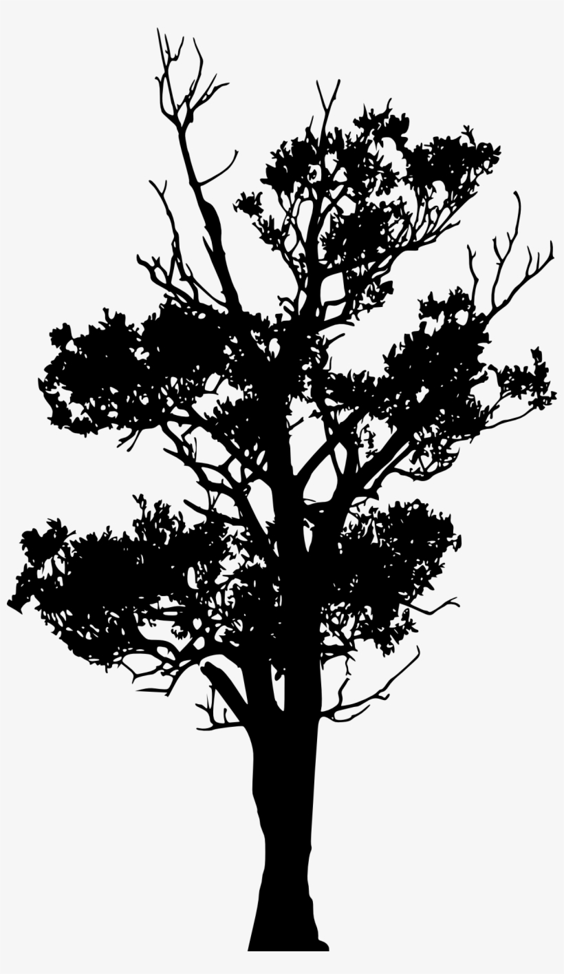 45 Tree Silhouettes Png Transparent Background - Portable Network Graphics, transparent png download