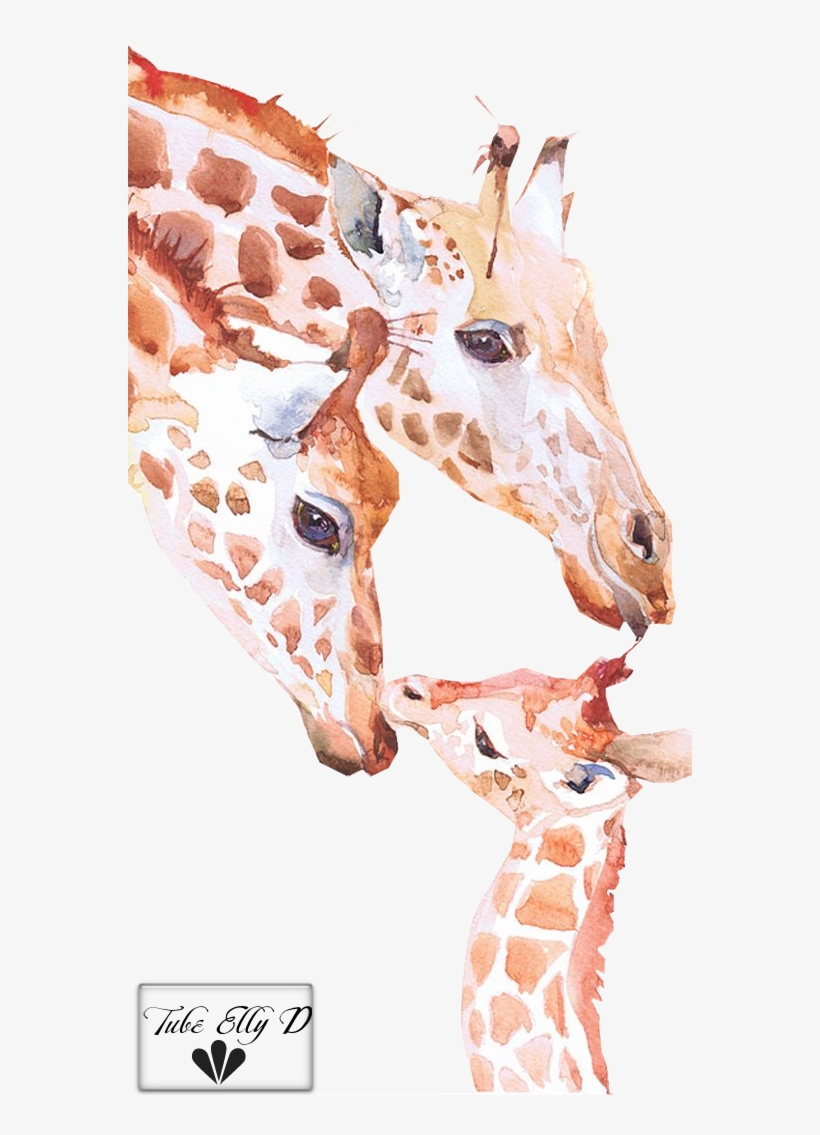 Giraffe Watercolor Png, transparent png download