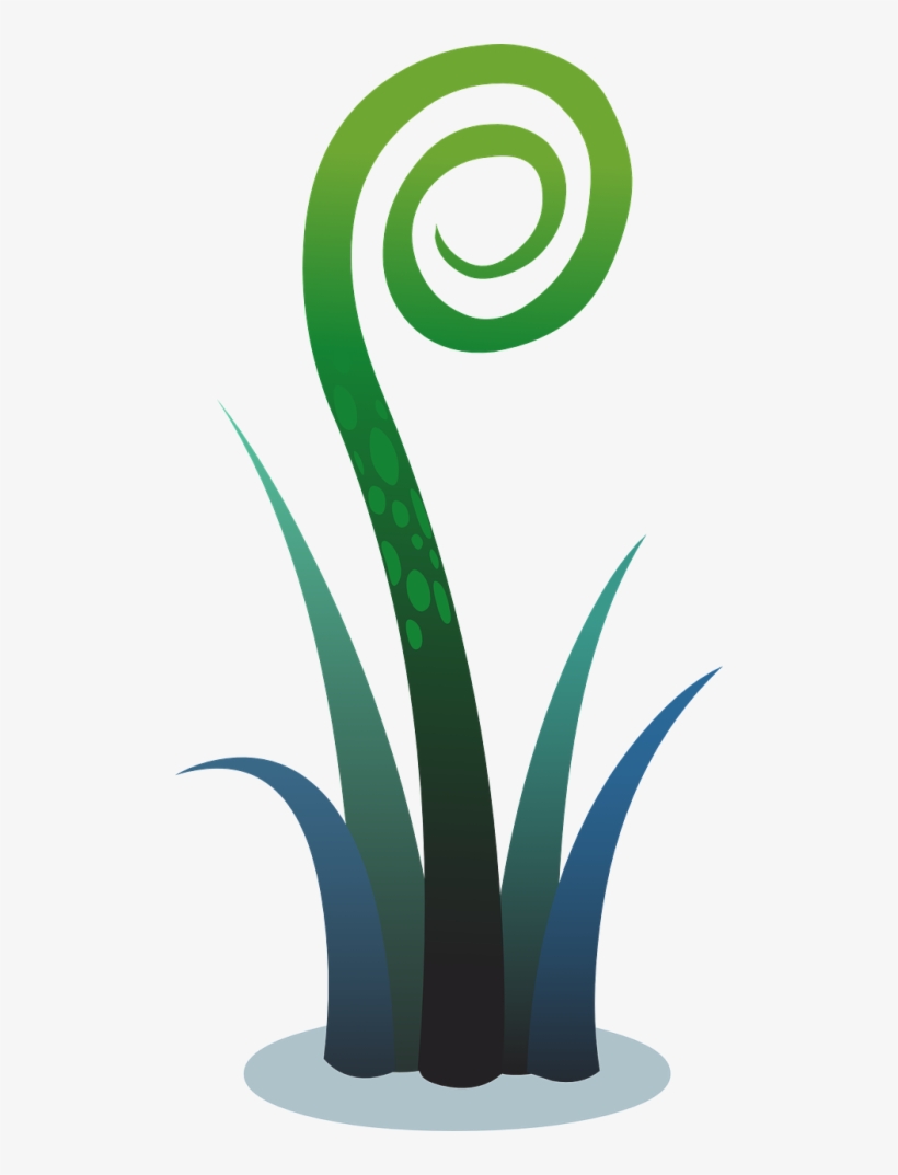 Fern, transparent png download