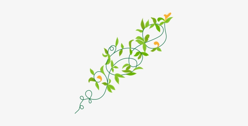 Graphic Library John Moorehead - Straight Vine, transparent png download