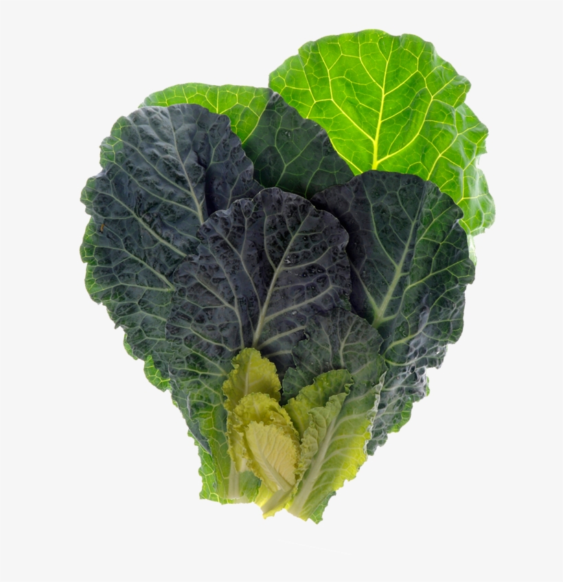 Spring Leafy Greens Hellofresh - Greens By Thomas Head 9781469626680 (hardback), transparent png download