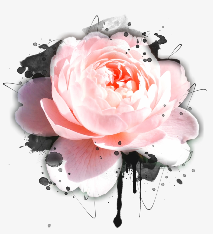 Watercolour Photo Collage - Watercolor Painting, transparent png download