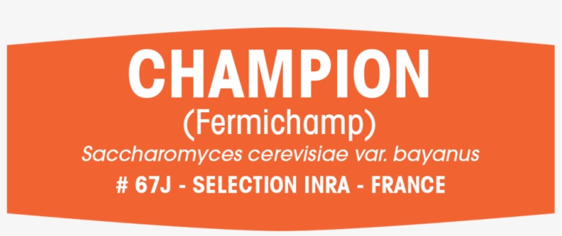 Champ-1 - Yeast, transparent png download