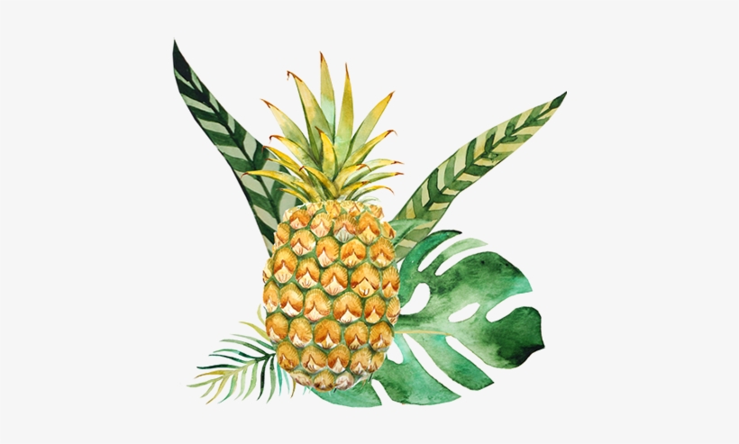 Our Customer Service Reps Will Shop Your Grocery Orders - Pineapple Fronds Throw Blanket, transparent png download