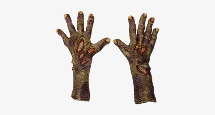 Pair Of Zombie Hands - Zombie Rotted Hands - Costume Accessories Halloween, transparent png download