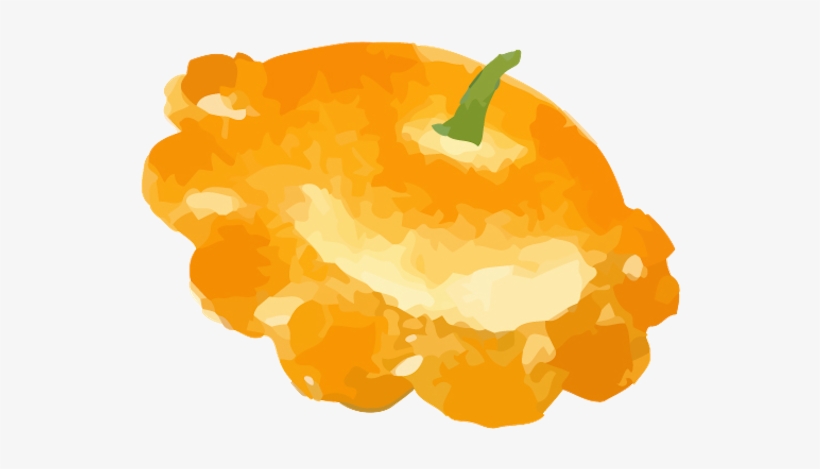 Lemon Squash - Illustration, transparent png download