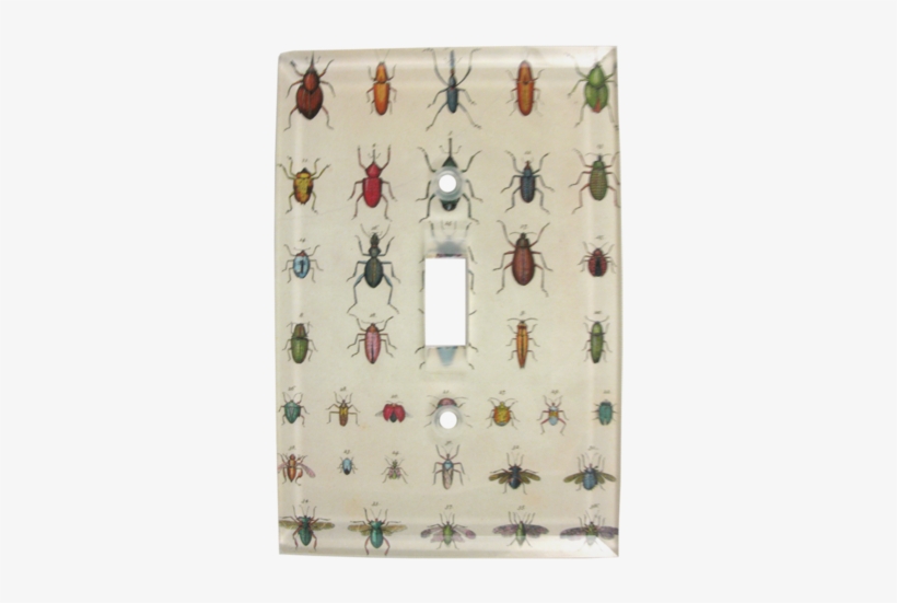 Torn Insects Torn Insects - Insect, transparent png download