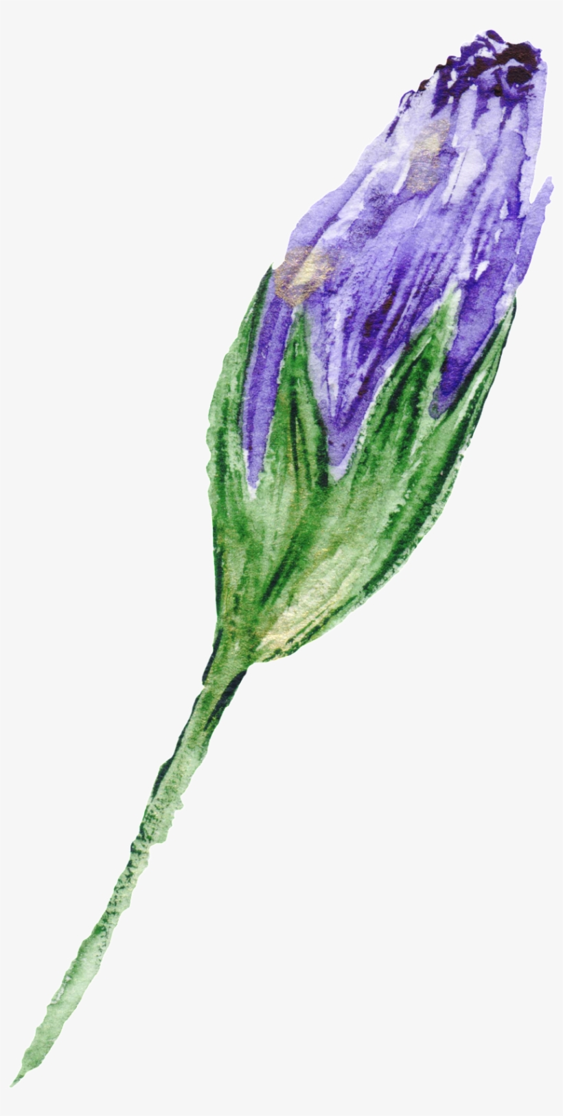 Purple Flower Transparent Decorative - Cluster-lilies, transparent png download