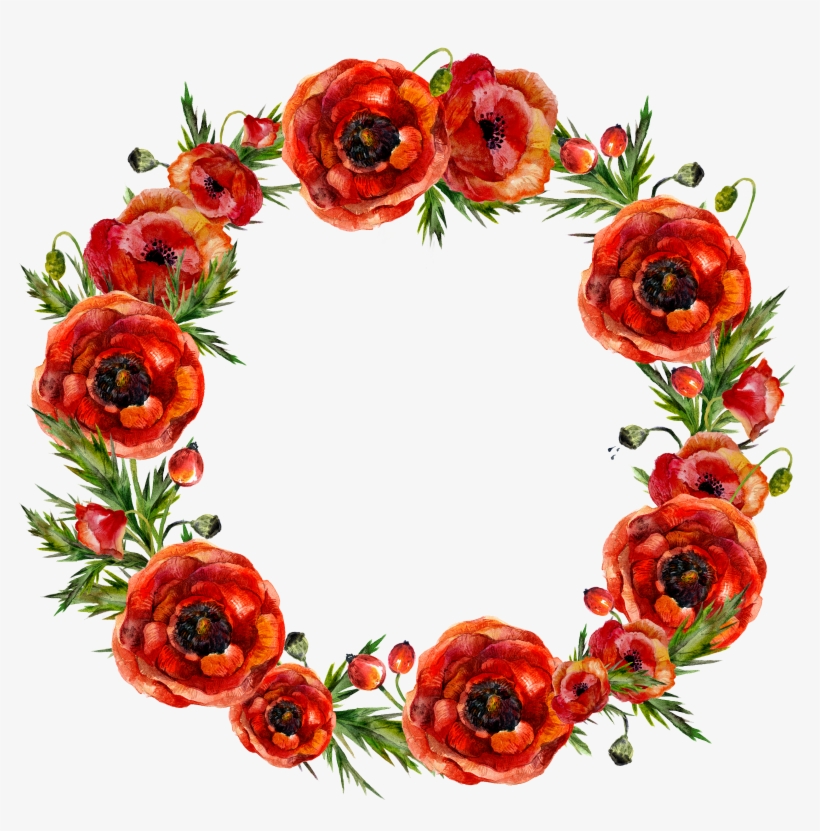 H269b Poppies, Watercolour, Decoupage, Pen And Wash,, transparent png download