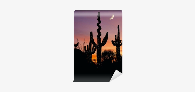 Silhouette Of A Coyote Howling At A Decorated Saguaro - Desert, transparent png download