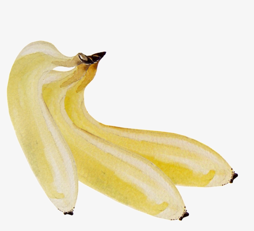 Hand Painted Three Bananas Transparent Png - Peel, transparent png download