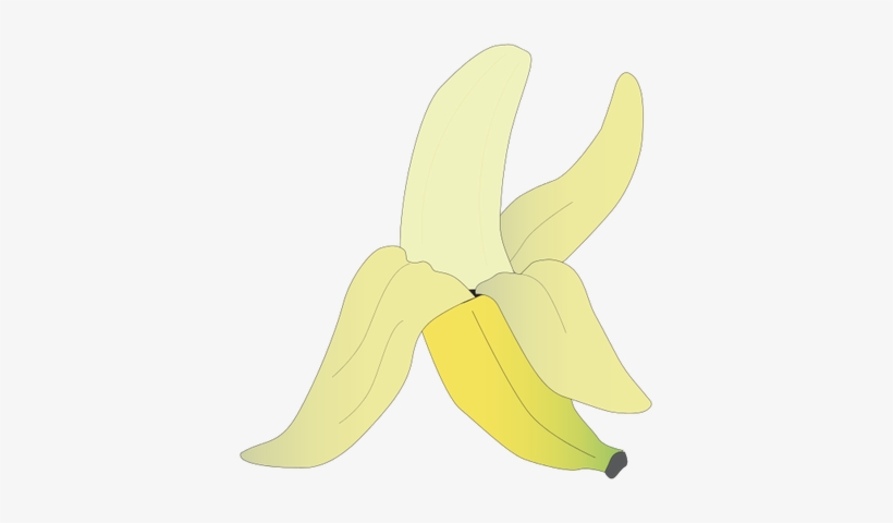 Drawn Banana Peeled Banana - Zingiberales, transparent png download