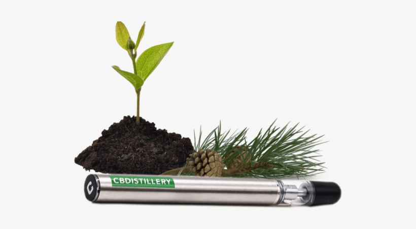 Home / Vape / Cbd Disposable Vape Pens - Cannabidiol, transparent png download