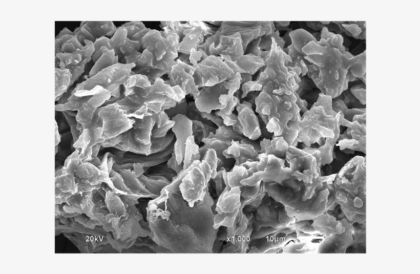 Scanning Electron Microscopy Of Banana Peel With Magnifications - Monochrome, transparent png download