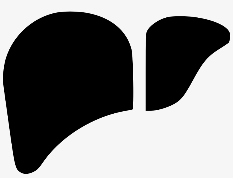 Health Liver Organ Surgery Human Body Part Comments - Human, transparent png download