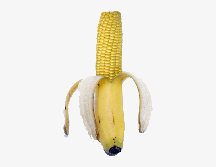 Gmo Luau-rave Ii Friday Oct 28 - Banana And Corn, transparent png download