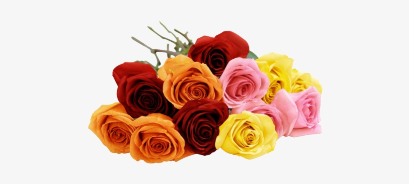 Blooming 12 Long Stemmed Assorted Rose Bouquet - Assorted Roses Png, transparent png download