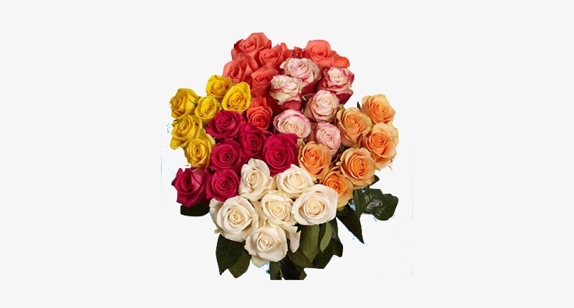 The Gorgeous Long Stem Roses Bouquet Surprise Gift - Roses All Color, transparent png download