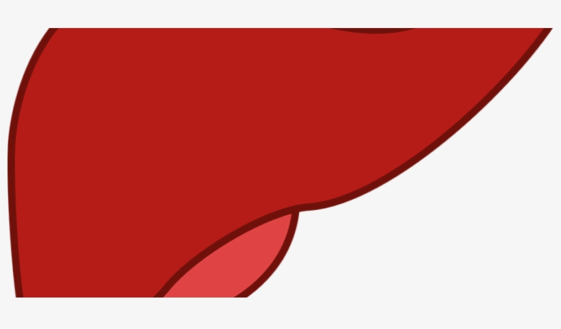 What Does The Liver Do - Liver, transparent png download