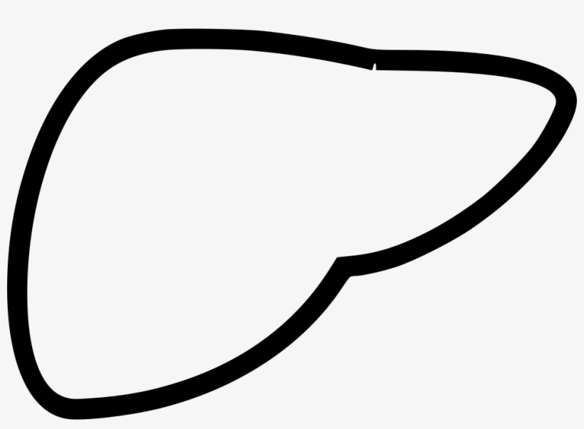 Liver Comments - Icon, transparent png download