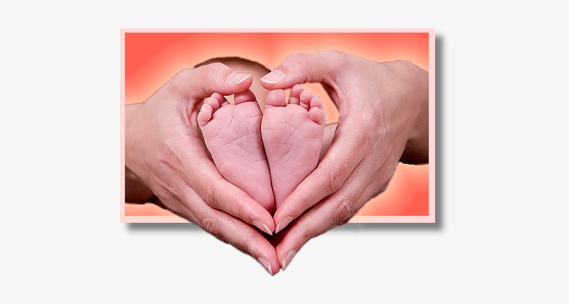 Baby Dedication Transparent Png 530x388 Free Download On Nicepng