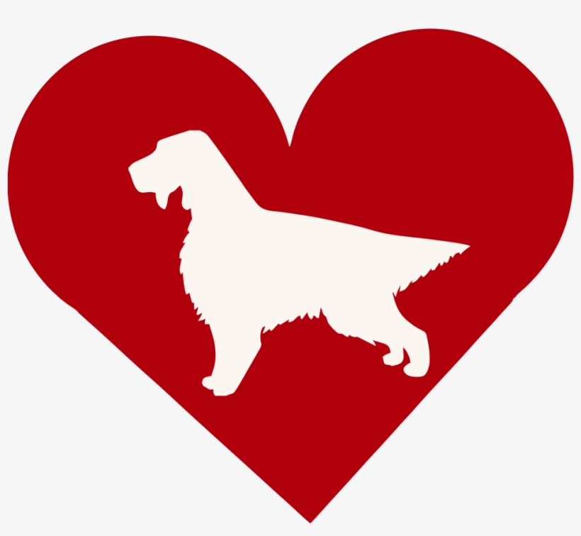 Cat, transparent png download