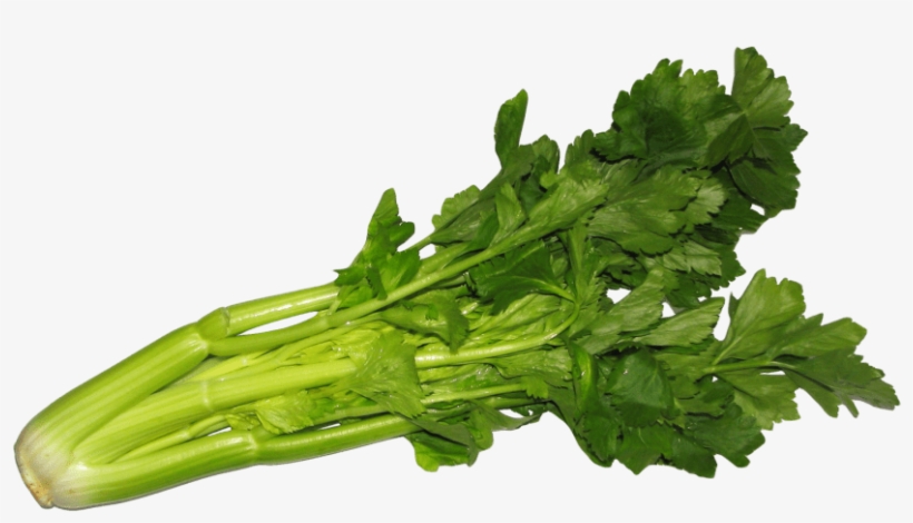 Free Png Celery Png Images Transparent - Celery Png, transparent png download