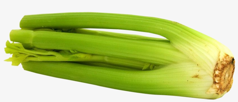 Celery Png Image - Celery, transparent png download