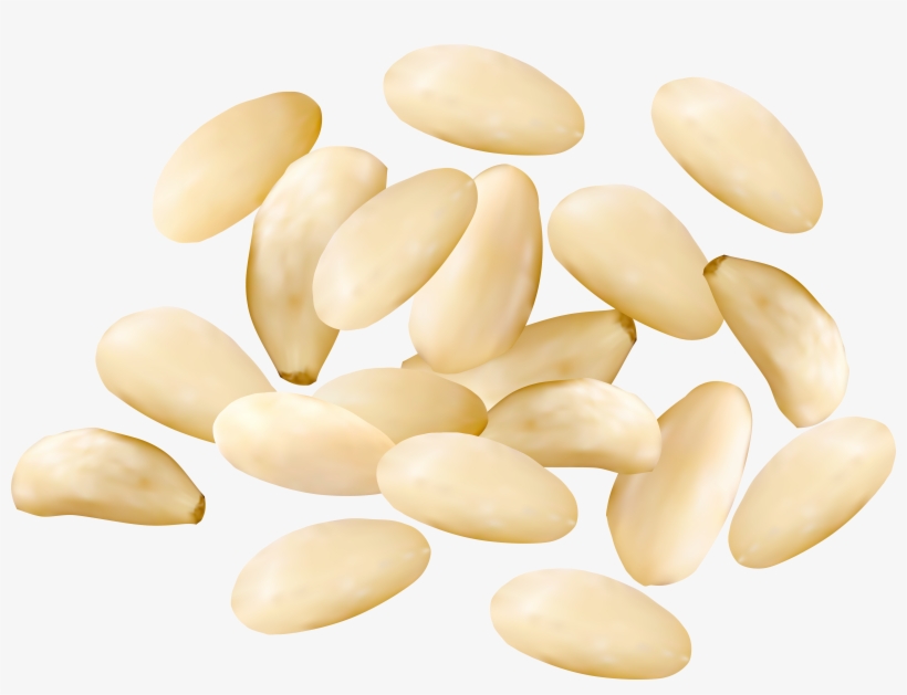 Pine Nuts Png, transparent png download