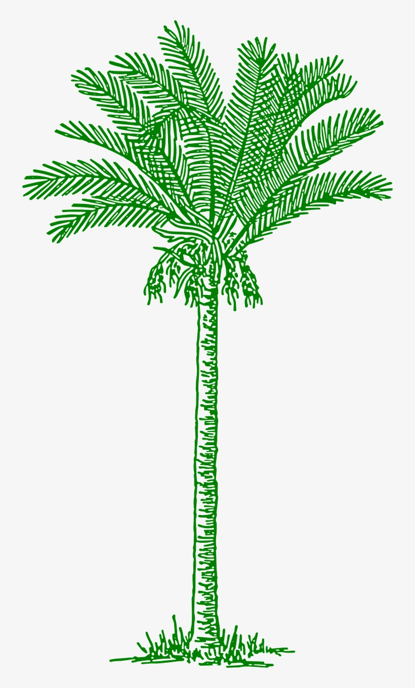 This Free Clipart Png Design Of Palm Tree, transparent png download