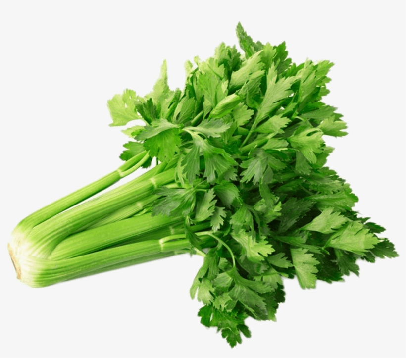 Celery Transparent Cut - Сельдерей, transparent png download
