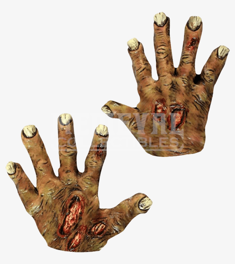 Undead Zombie Costume Hands - Zombie Rotting Hands Latex Gloves Scary Halloween Fancy, transparent png download