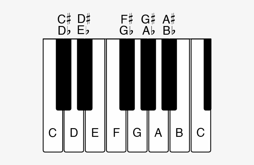 A Picture Of A Piano Keyboard Showing All The Names - Chord, transparent png download