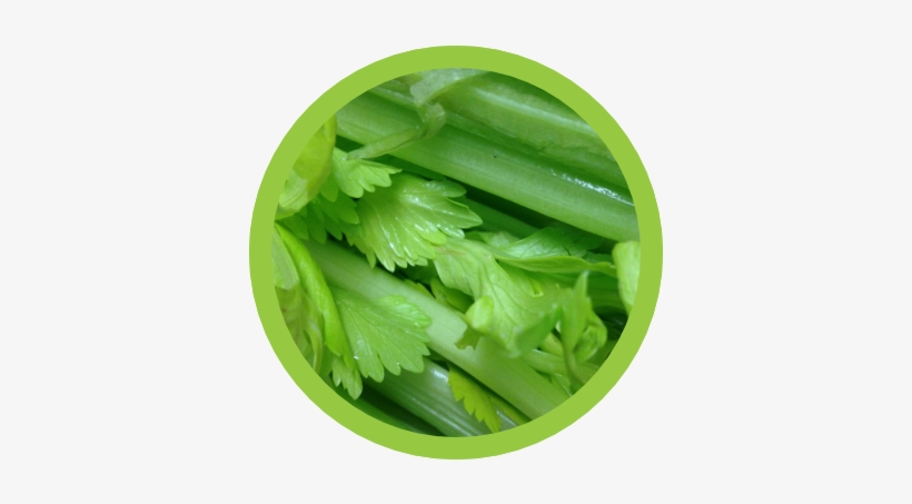 Celery - Cara Menyuburkan Rambut Bayi, transparent png download