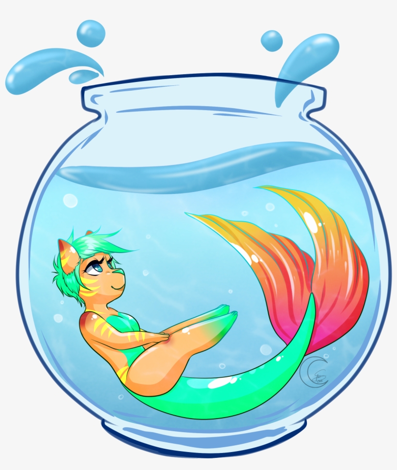 Fish Bowl - Aquarium, transparent png download