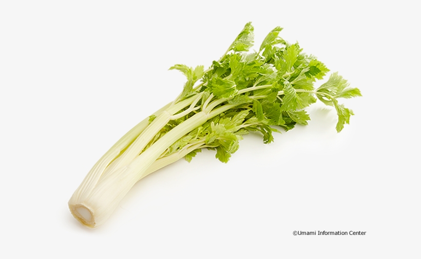 Celery, transparent png download