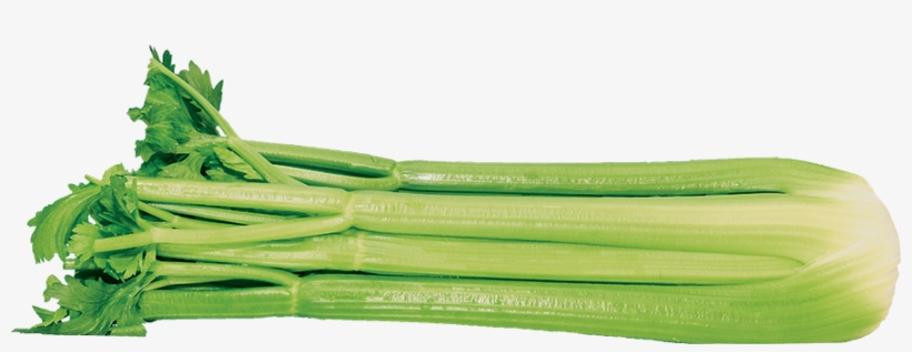 Celery - Celery Stalk Png, transparent png download