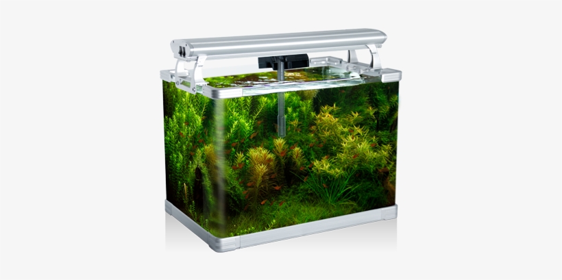 Small Fish Tank Singapore, transparent png download