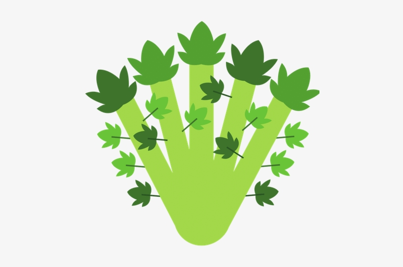 Celery - 0shares - Vector Graphics, transparent png download